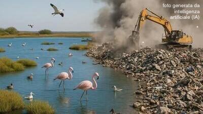 SALVIAMO LE SALINE 🦩🦩🦩 NO ALLE DISCARICHE 