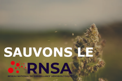 Sauvons le RNSA