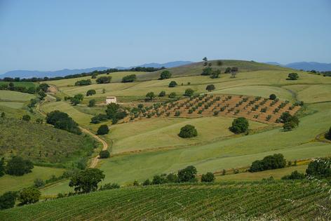 MAREMMA INVASA DALLE PALE EOLICHE Petizione contro il Parco Eolico di Magliano in Toscana